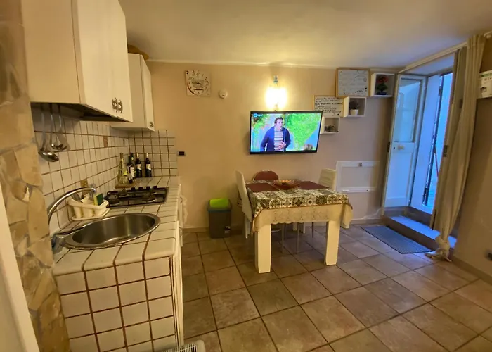 בית נופש White House